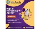 Seospidy is the best Social Media Marketing agency in Gurgaon