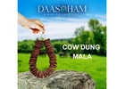 Cow Dung Patties 