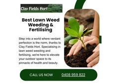 Effective Lawn Weed Control And Fertilisation Techniques