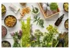 India’s Top 10 Home Made Herb Medicine In 2024