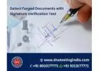 Get the Best Signature Verification Tests Services in India