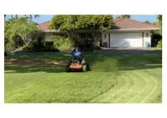 What Are the Benefits of Professional Landscape Maintenance in Hawaii?