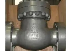 Check Valve Manufacturer in India