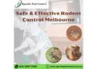 Safe & Effective Rodent Control Melbourne