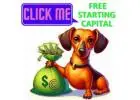 Bank-Granted Capital & Daily Compounding: The $100 Retirement Secret!