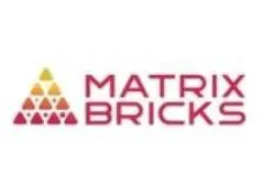 Top-tier Online Reputation Management Services | Matrix Bricks