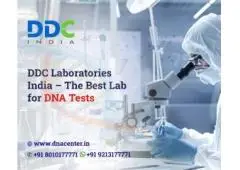 Order DNA Test Kit Online From the Comfort of Your Home