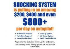 Coaches close sales for you $ 200 $ 800 PER DAY!