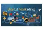 Wall Communication | Best Digital Marketing Services In Delhi