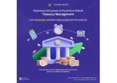 Optimize your financial operations: Seize control of treasury management with our innovative system 